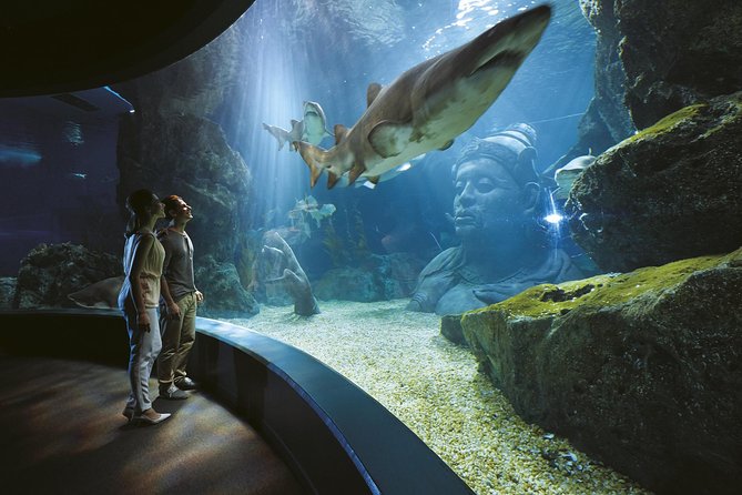 SEA LIFE Bangkok Ocean World and Madam Taussauds Entry Ticket - Ticket Prices