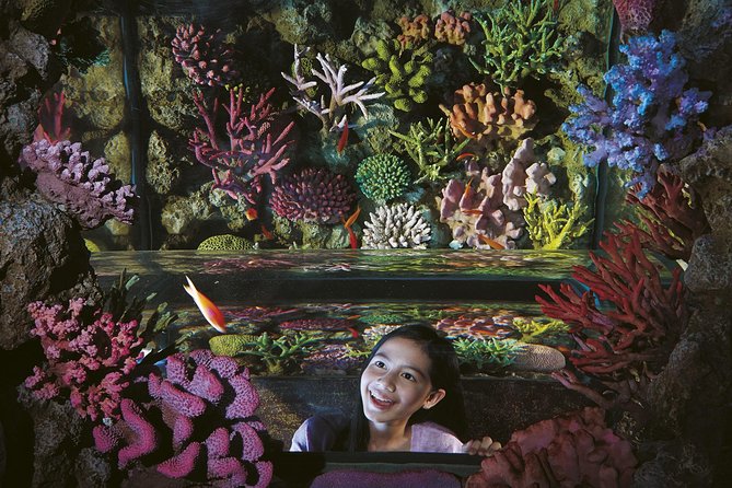 SEA LIFE Bangkok Ocean World and Madam Taussauds Entry Ticket - Booking Information