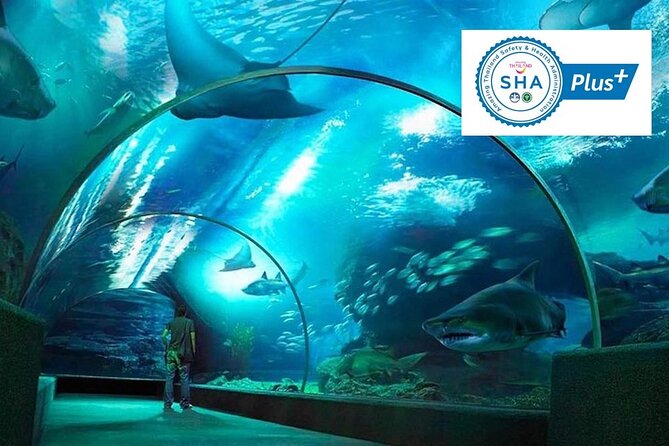 SEA LIFE Bangkok Ocean World & Madame Tussauds Combo Ticket - Combo Ticket Details