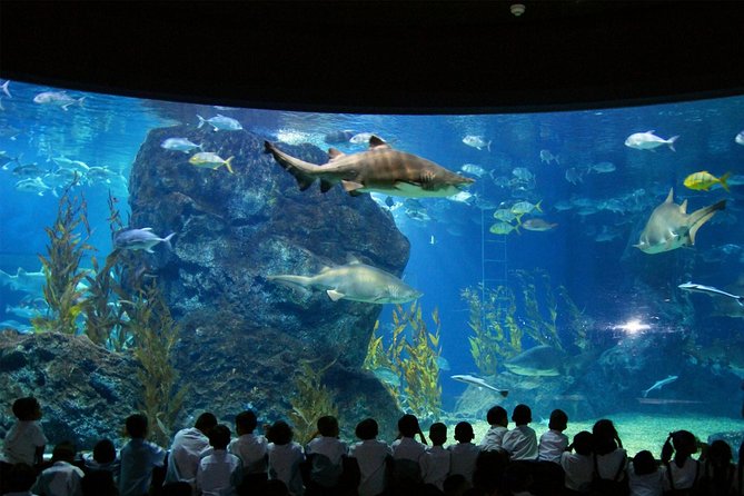 SEA LIFE Bangkok Ocean World & Madame Tussauds Combo Ticket - Photo Opportunities With Celebrities