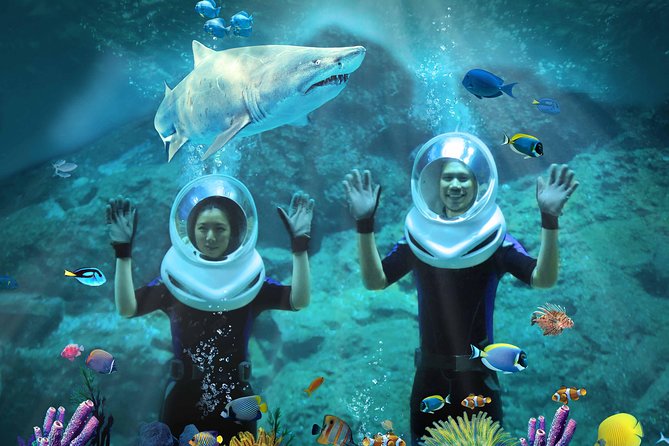 SEA LIFE Bangkok Ocean World & Madame Tussauds Combo Ticket - Southeast Asias Largest Aquarium