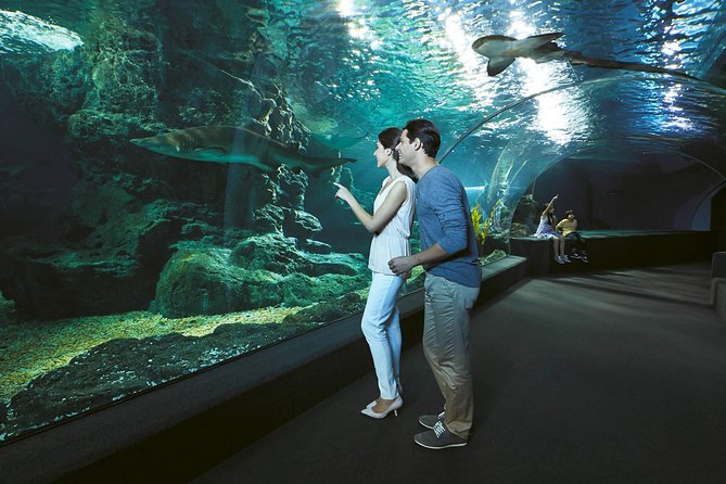 SEA LIFE Bangkok Ocean World & Madame Tussauds Combo Ticket - Booking Information and Price Details