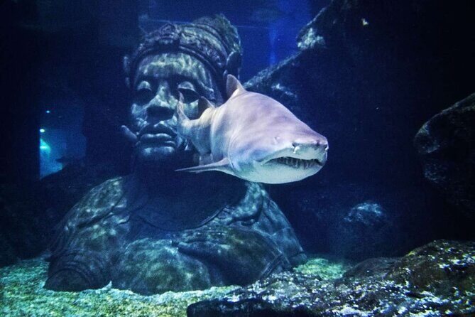 Sea life Bangkok Ocean World Ticket - The Sum Up