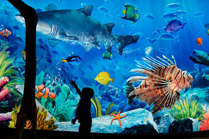 Sea Life Bangkok Ocean World Tickets - Whats Included