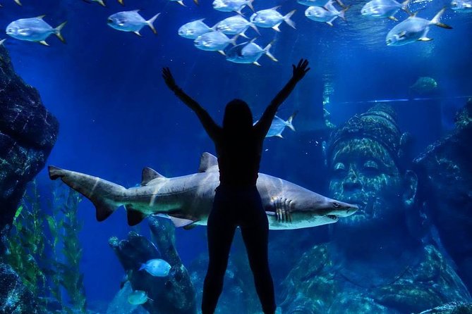 Sea Life Bangkok Ocean World Tickets - Additional Information