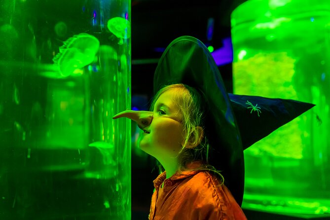 SEA LIFE Berlin Admission Ticket - Booking Information