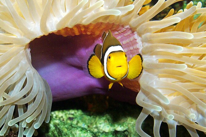 SEA LIFE Berlin Admission Ticket - Check Availability