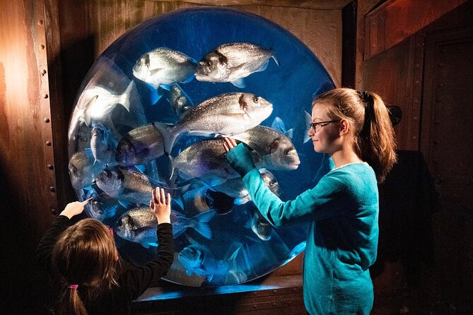 SEA LIFE Berlin Admission Ticket - Secure Your Spot While Staying Flexible