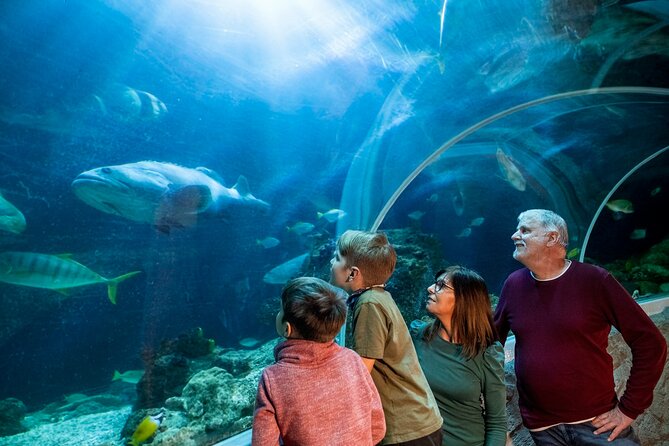 SEA LIFE Berlin Admission Ticket - Free Cancellation up to 24 Hours in Advance