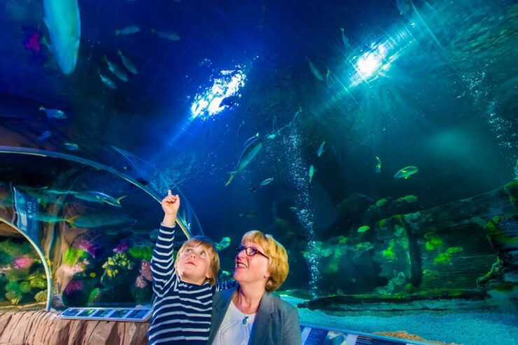 SEA LIFE Berlin Tickets - Experience Highlights