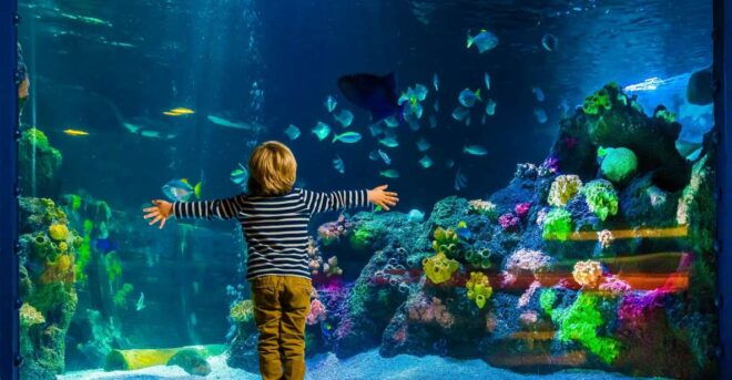SEA LIFE Berlin Tickets - Full Description of SEA LIFE Berlin