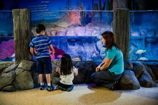 SEA LIFE Berlin Tickets - Review Summary