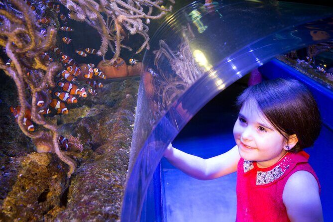 SEA LIFE Birmingham Admission Ticket - What You Can Expect at SEA LIFE Birmingham