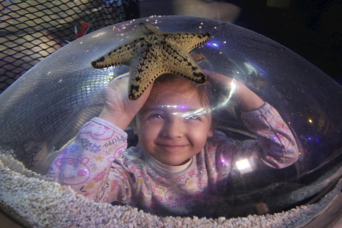 SEA LIFE Blackpool Admission Ticket - Common Questions