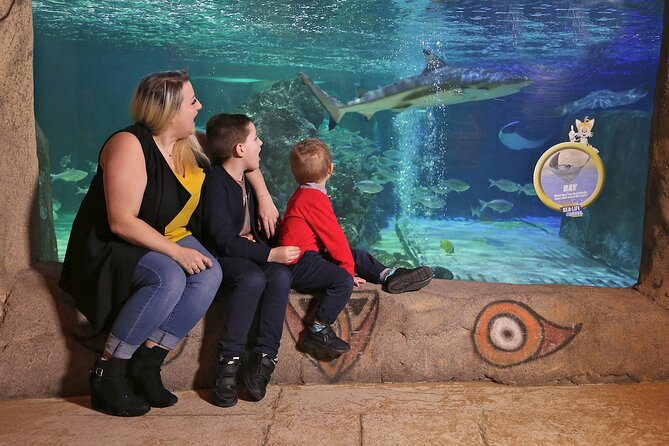 SEA LIFE Blackpool Admission Ticket - The Sum Up