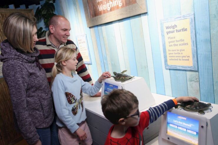 SEA LIFE Blackpool Entrance Ticket - Ticket Details