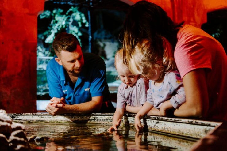 Sea Life Brighton Admission Ticket - Ticket Information