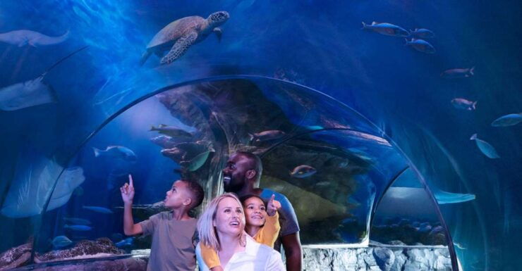 SEA LIFE Charlotte-Concord Aquarium General Admission - Experience Highlights