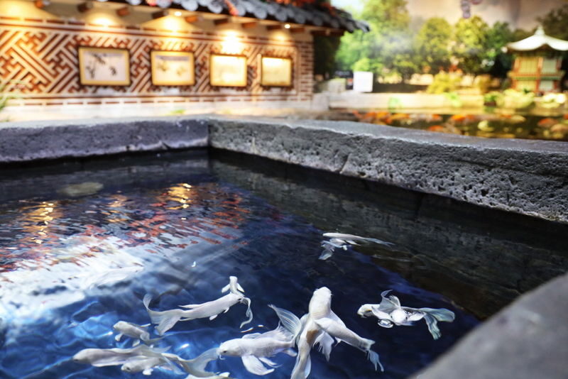 SEA LIFE COEX Seoul Aquarium Ticket - A city aquarium with more than saltwater tanks