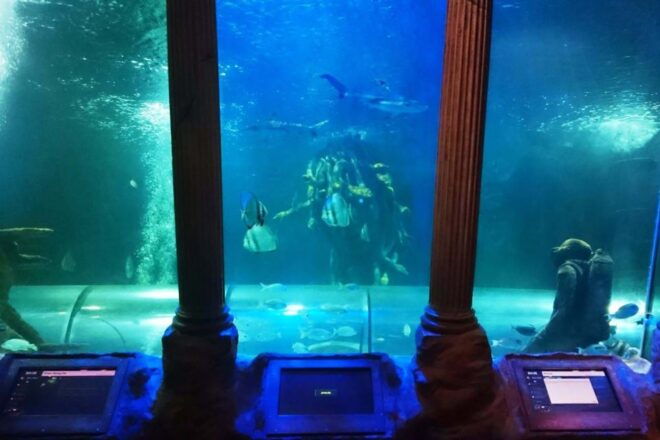 SEA LIFE Great Yarmouth - Visitor Reviews