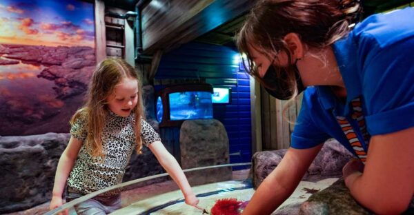 SEA LIFE Great Yarmouth - Location and Directions
