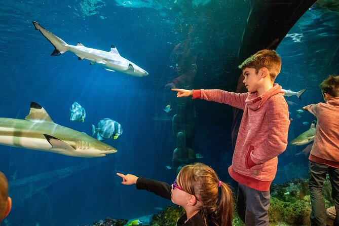 SEA LIFE Hannover Ticket - Overview of SEA LIFE Hannover