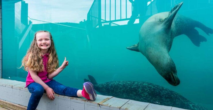 Sea Life Hunstanton - Experience