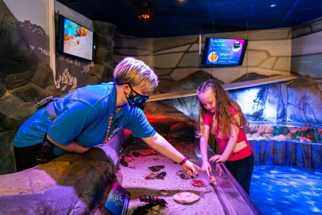 Sea Life Hunstanton - Inclusions