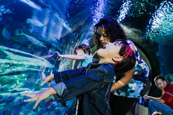 SEA LIFE Kansas City Aquarium Admission Ticket - Pricing and Ticket Information