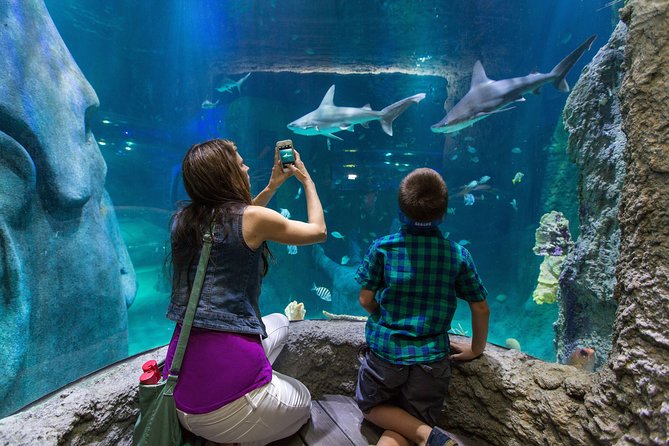 SEA LIFE Kansas City Aquarium Admission Ticket - Traveler Photos and Reviews