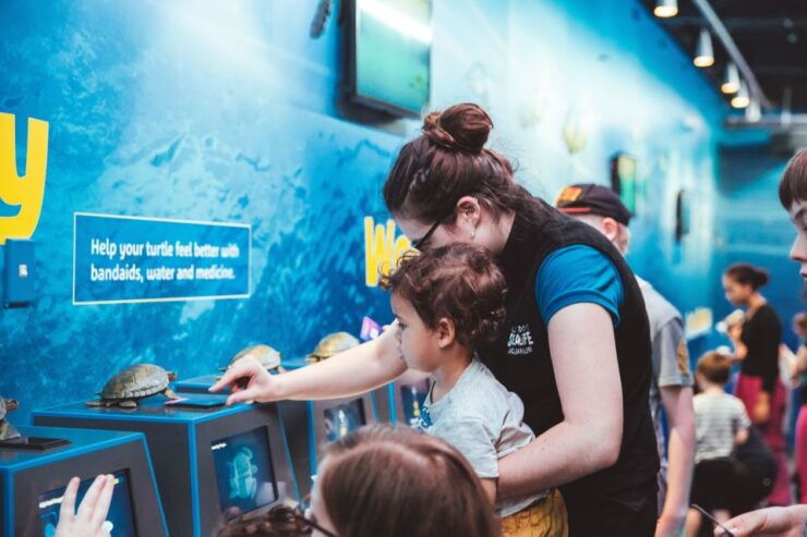 Sea Life Kelly Tarlton's Aquarium General Admission - Ticket Information
