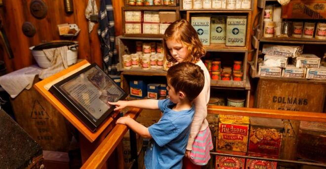 Sea Life Kelly Tarlton's Aquarium General Admission - Customer Reviews
