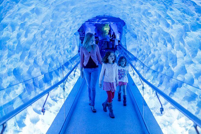 SEA LIFE Kelly Tarlton's General Admission - Final Thoughts: Who Will Love SEA LIFE Kelly Tarltons?