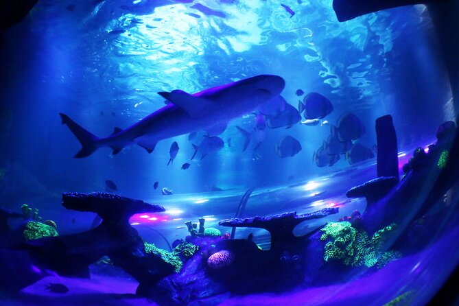 SEA LIFE Konstanz Admission Ticket - Visitor Recommendations and Feedback