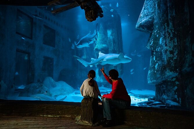 SEA LIFE London Aquarium Admission Ticket - Live Feedings and Talks