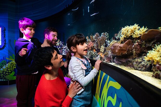 SEA LIFE London Aquarium Admission Ticket - New Rainforest Adventure Exhibit