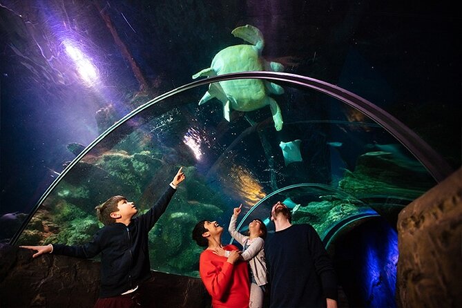SEA LIFE London Aquarium Admission Ticket - Pros and Cons of the Overall Experience