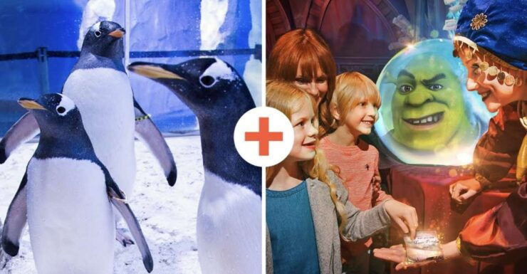 SEA LIFE London & DreamWorks Shrek's Adventure: Combo Ticket - Activity Details