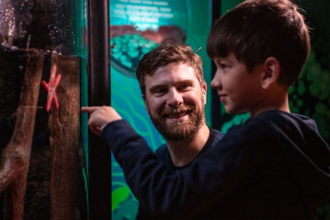 SEA LIFE London & DreamWorks Shrek's Adventure: Combo Ticket - Full Description