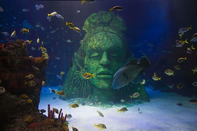 SEA LIFE Manchester Admission Ticket - Common Questions
