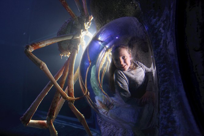 SEA LIFE Manchester Admission Ticket - The Sum Up