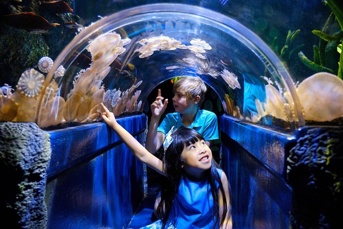 SEA LIFE Melbourne Aquarium Admission Ticket - Experience at SEA LIFE Melbourne Aquarium
