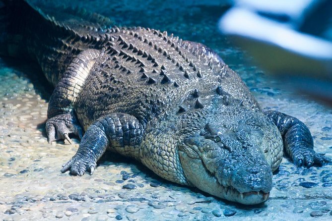 SEA LIFE Melbourne Aquarium Admission Ticket - Additional Information