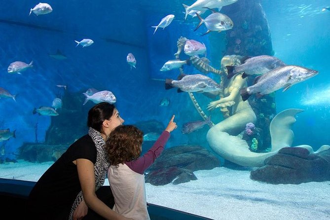 SEA LIFE Melbourne Aquarium Admission Ticket - Common Questions