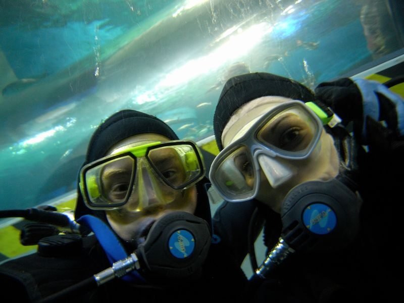 SEA LIFE Melbourne Aquarium Shark Dive Xtreme Experience - Close encounters with sharks and stingrays