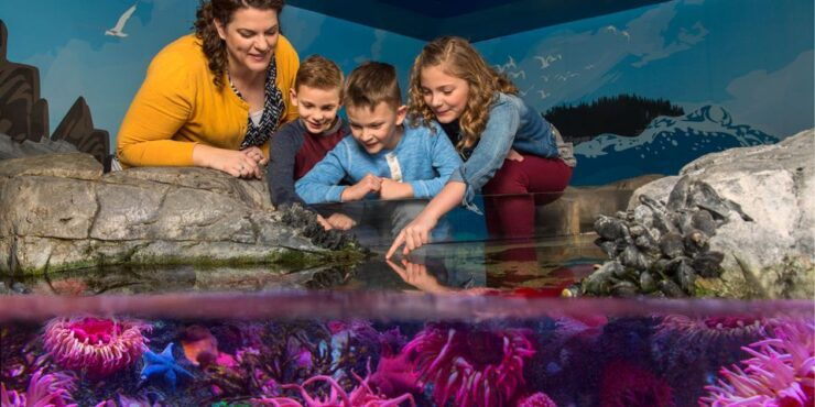 SEA LIFE Michigan Aquarium General Admission - Ticket Details