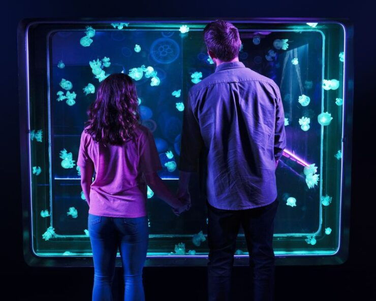 SEA LIFE Michigan Aquarium General Admission - Experience Highlights
