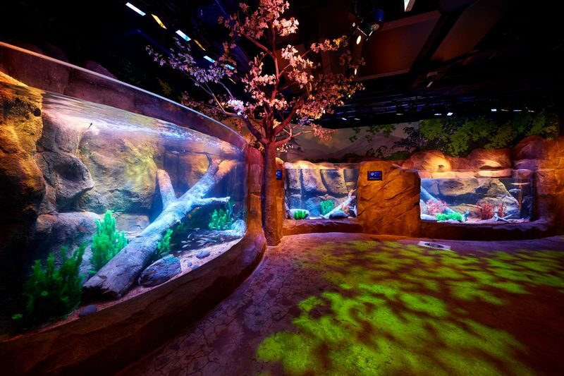 SEA LIFE Nagoya Aquarium Ticket - The circular tank and the creatures beneath the dock