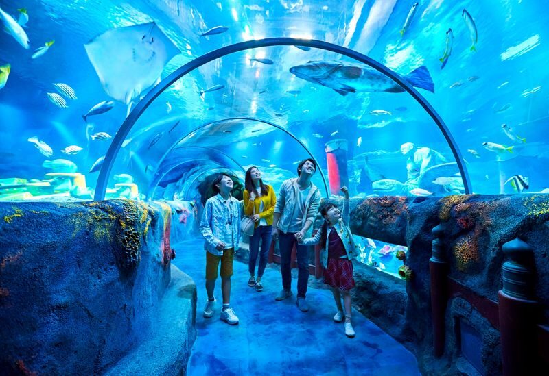 SEA LIFE Nagoya Aquarium Ticket - Getting there from central Nagoya