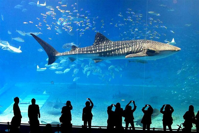SEA LIFE Ocean World at Bangkok Admission Ticket - Meeting and Pickup Information